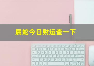 属蛇今日财运查一下