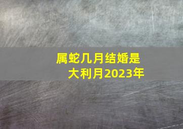 属蛇几月结婚是大利月2023年