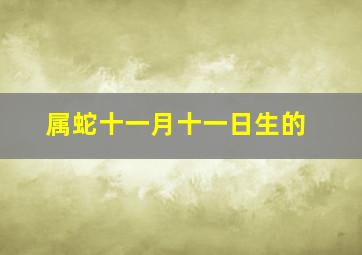 属蛇十一月十一日生的