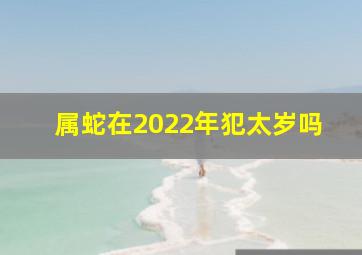 属蛇在2022年犯太岁吗