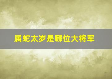 属蛇太岁是哪位大将军