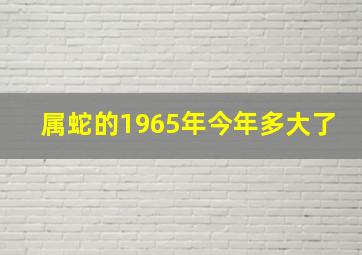 属蛇的1965年今年多大了