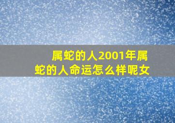 属蛇的人2001年属蛇的人命运怎么样呢女