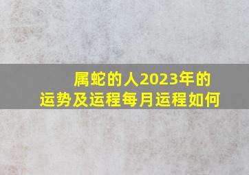 属蛇的人2023年的运势及运程每月运程如何