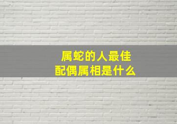 属蛇的人最佳配偶属相是什么