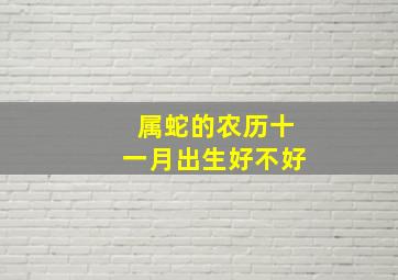 属蛇的农历十一月出生好不好