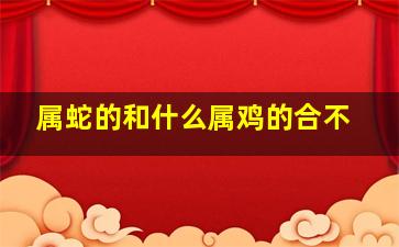 属蛇的和什么属鸡的合不