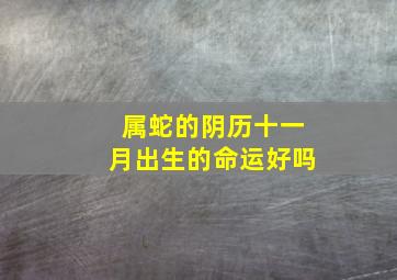 属蛇的阴历十一月出生的命运好吗