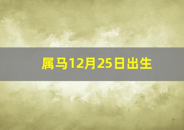 属马12月25日出生