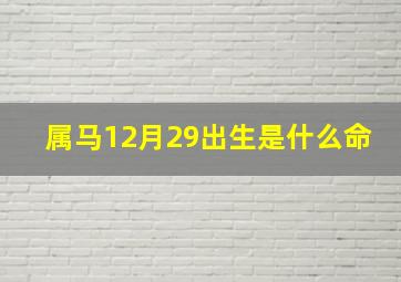 属马12月29出生是什么命