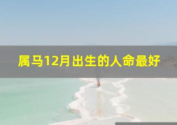 属马12月出生的人命最好