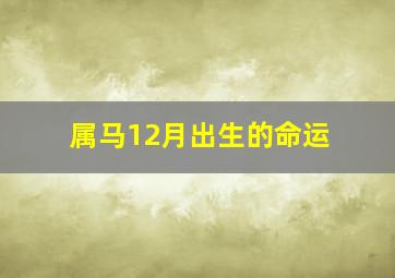 属马12月出生的命运