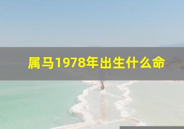 属马1978年出生什么命