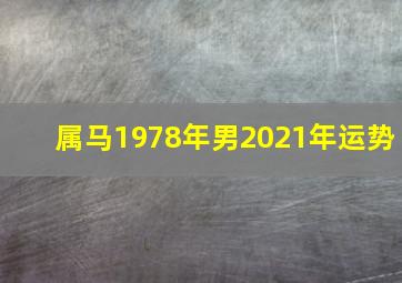 属马1978年男2021年运势