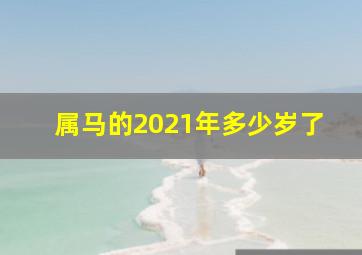 属马的2021年多少岁了