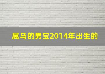 属马的男宝2014年出生的