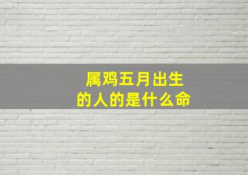 属鸡五月出生的人的是什么命