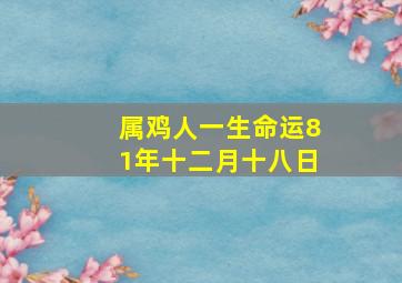 属鸡人一生命运81年十二月十八日