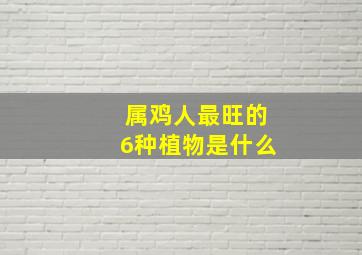 属鸡人最旺的6种植物是什么