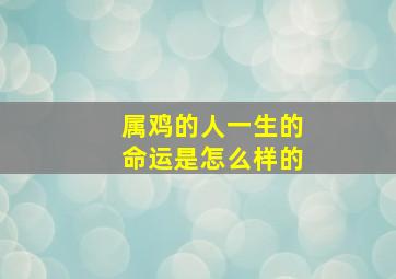 属鸡的人一生的命运是怎么样的