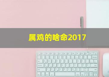 属鸡的啥命2017