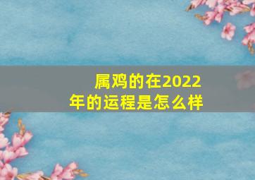 属鸡的在2022年的运程是怎么样