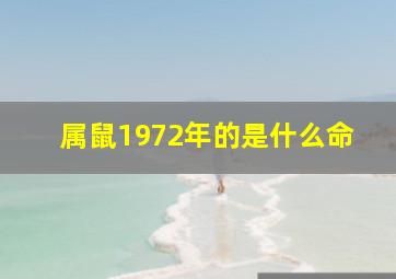 属鼠1972年的是什么命