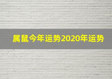 属鼠今年运势2020年运势