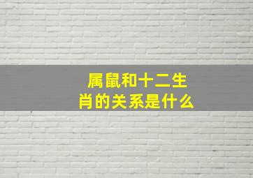 属鼠和十二生肖的关系是什么