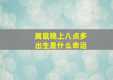 属鼠晚上八点多出生是什么命运