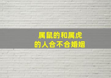 属鼠的和属虎的人合不合婚姻