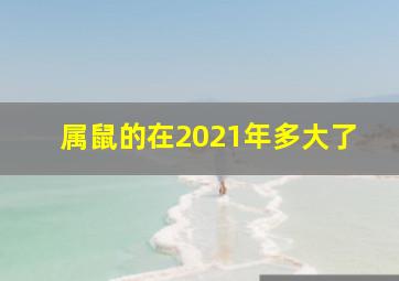 属鼠的在2021年多大了