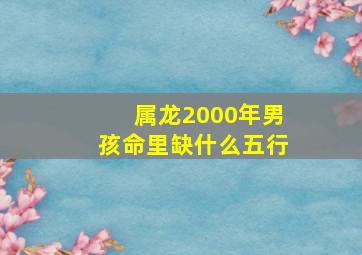 属龙2000年男孩命里缺什么五行