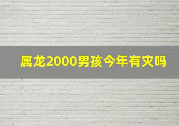 属龙2000男孩今年有灾吗