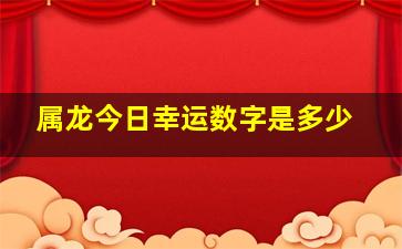 属龙今日幸运数字是多少