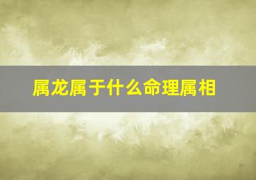 属龙属于什么命理属相