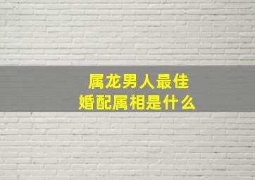 属龙男人最佳婚配属相是什么