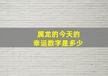 属龙的今天的幸运数字是多少