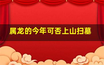 属龙的今年可否上山扫墓