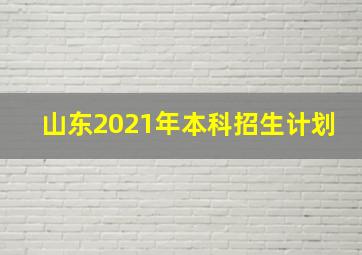 山东2021年本科招生计划