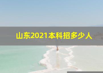 山东2021本科招多少人