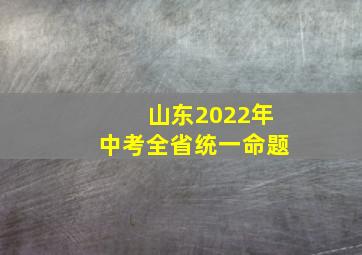 山东2022年中考全省统一命题