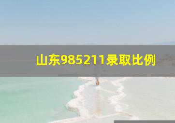 山东985211录取比例