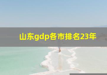 山东gdp各市排名23年