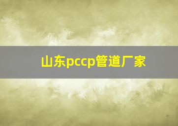 山东pccp管道厂家