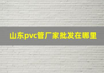 山东pvc管厂家批发在哪里