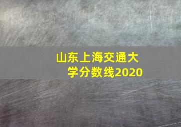 山东上海交通大学分数线2020