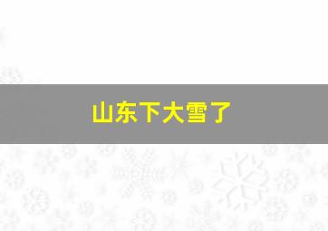 山东下大雪了