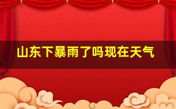 山东下暴雨了吗现在天气