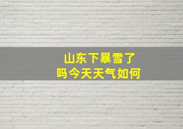 山东下暴雪了吗今天天气如何